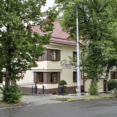 Slezská Ostrava